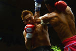 緑川3_2012.01.15.jpg