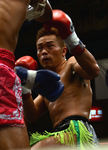緑川6_2012.01.15.jpg