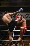 後藤1_2011.12.17.jpg