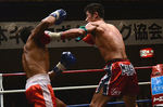 石井6_2011.12.17.jpg