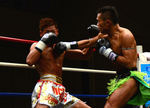 緑川2_2012.10.14.jpg