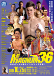 MAGNUM36.jpg